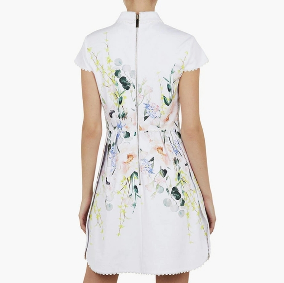 🍒NWT🍒 TED BAKER ELEGANCE FIT & FLARE DRESS - Picture 4 of 9